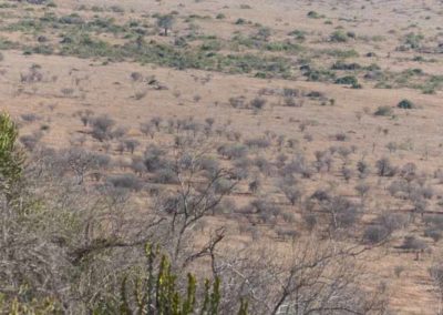 Vue de Nkumbe sur la savane