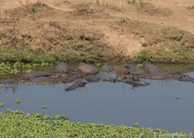 Parking pour Rhinos.